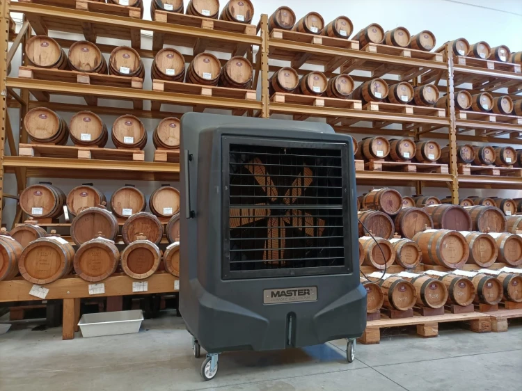 Master BC 221 wine cellar.jpg