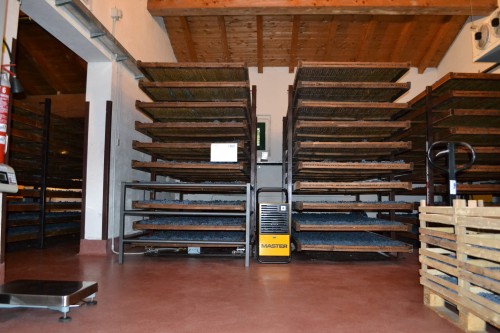 Master DH 26 Drying Grapes.jpg