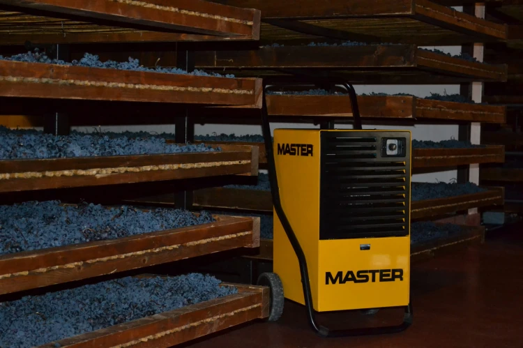 Master DH 26 Winery.jpg